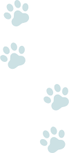 猫の足跡イラスト