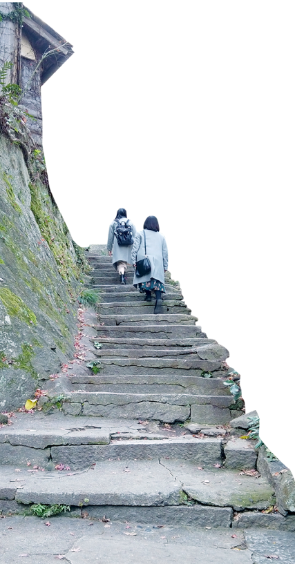 猫の細道の階段を上る観光客の写真